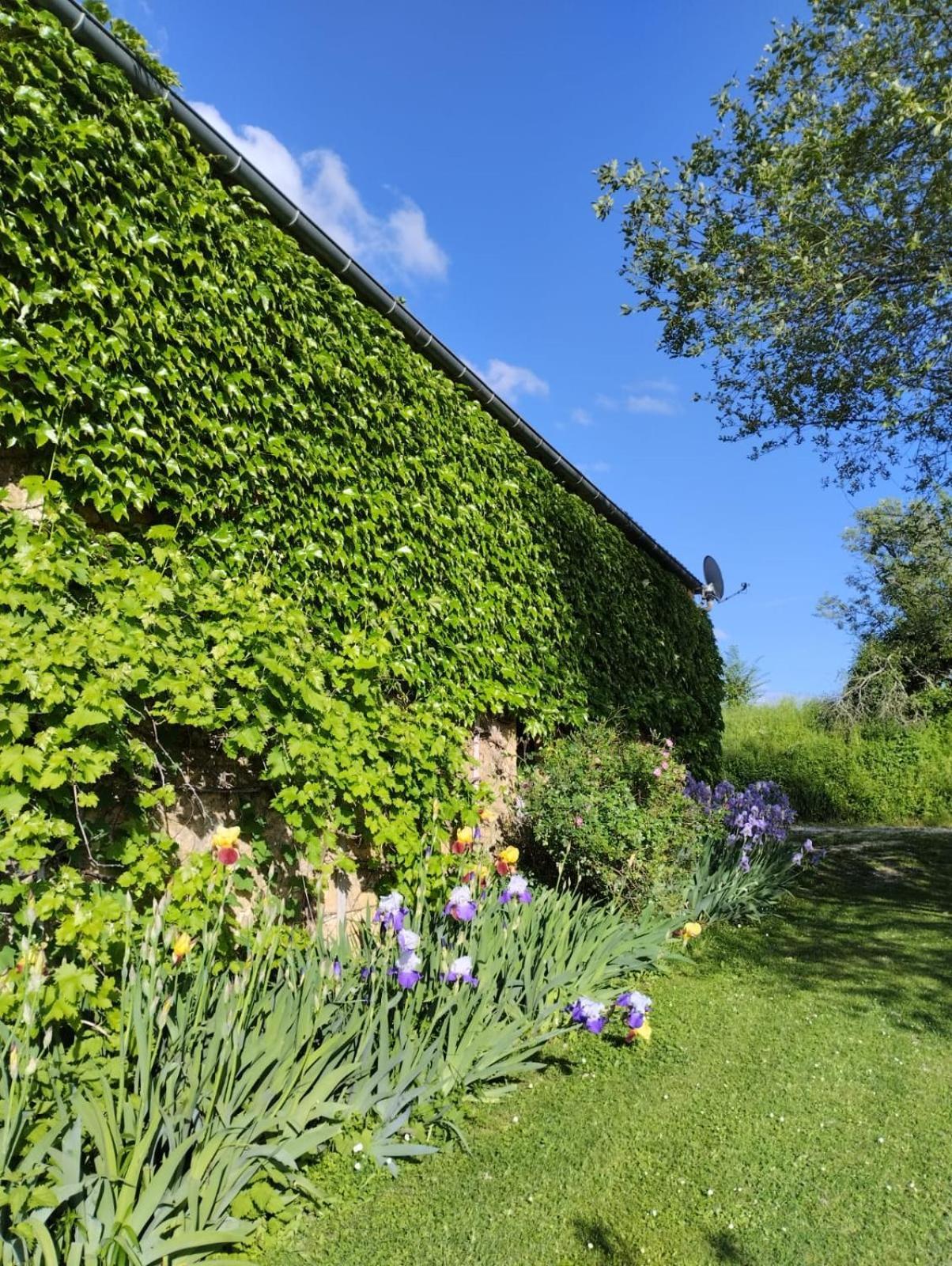 Le Nid D'été *